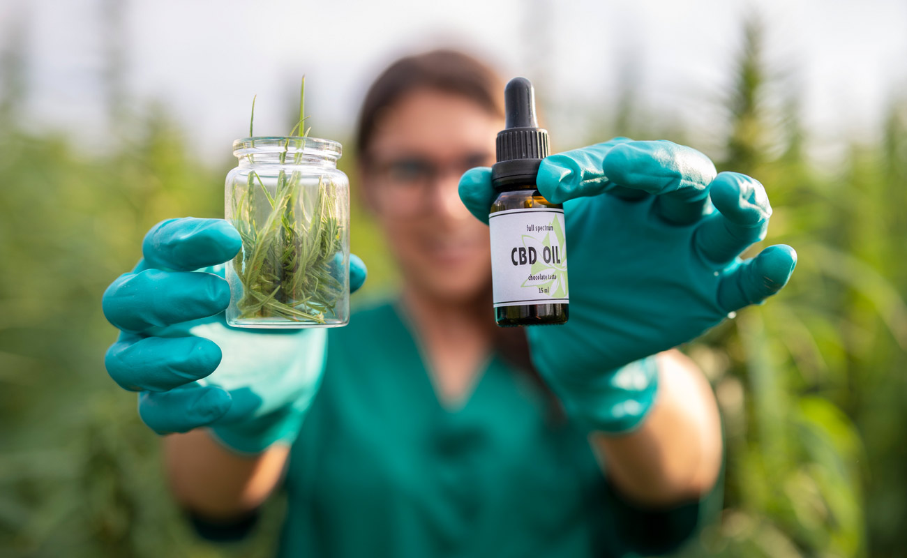 Exploring the Efficacy of CBD Oil for Localized Pain Relief, Such as Joint Pain or Muscle Soreness