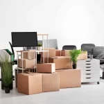 Simplifying Space: Wise Actions for Selecting Junk Removal Services