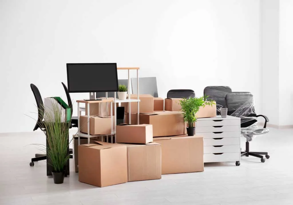 Simplifying Space: Wise Actions for Selecting Junk Removal Services