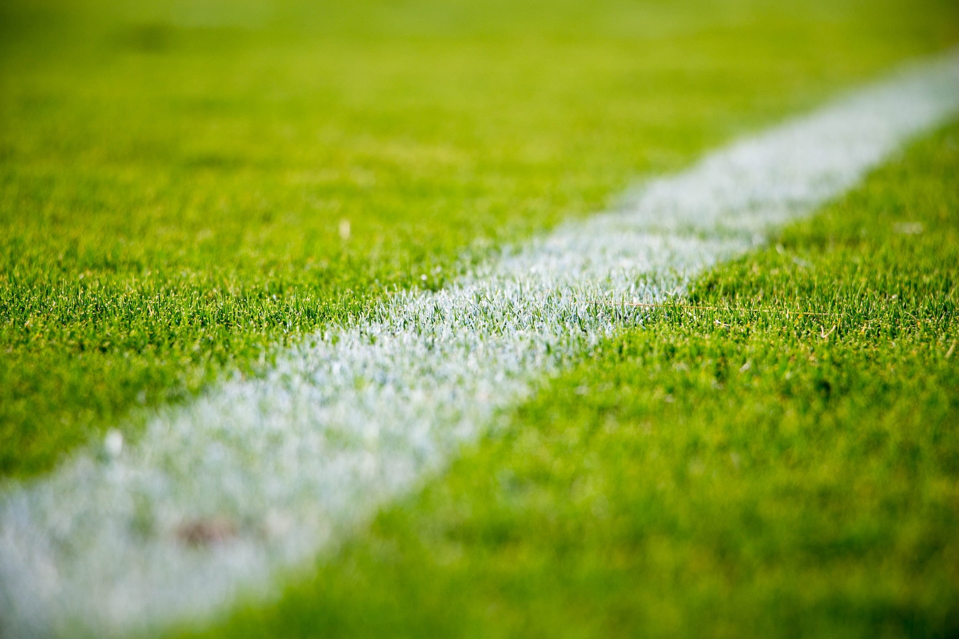 excel sports management